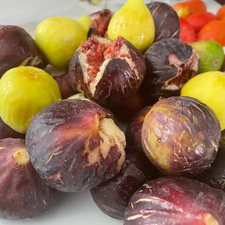 Bed & Breakfast B&b Villa Asia 3*