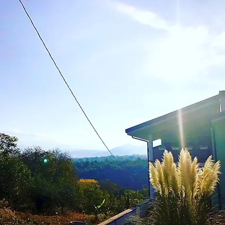 B&B Villa Asia Bed and Breakfast 3*