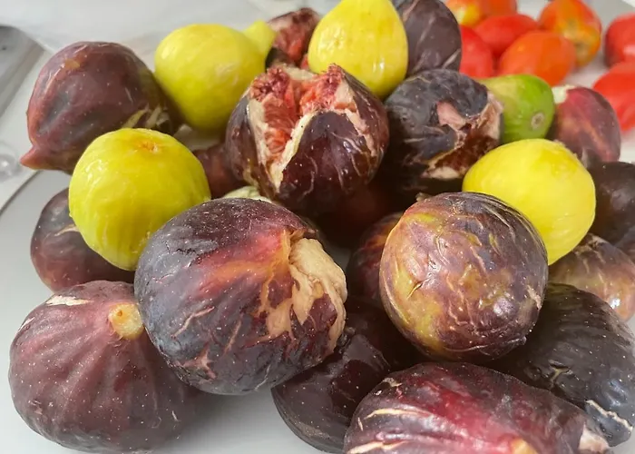 Bed & Breakfast B&B Villa Asia 3*